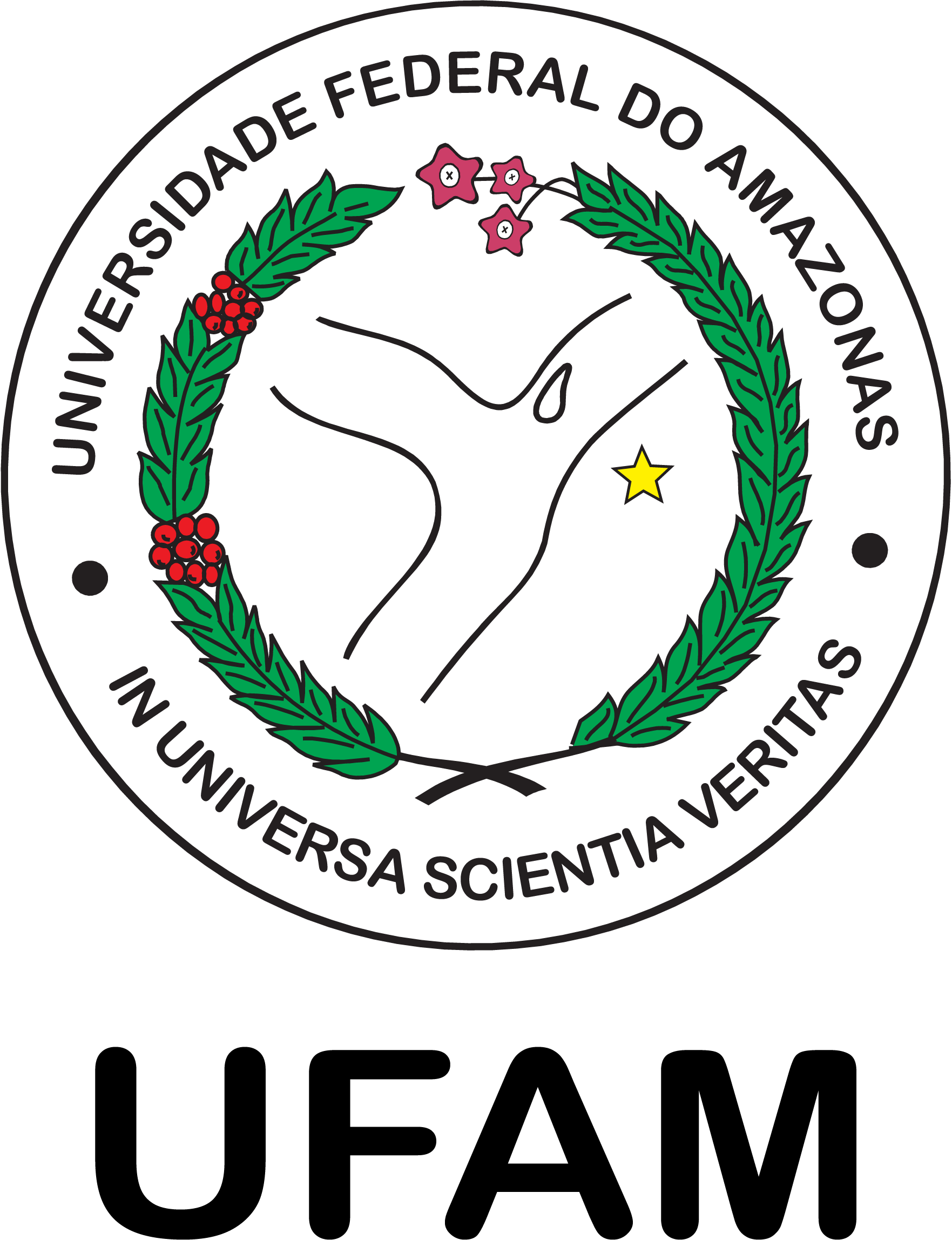 ppgiSignIn.alt_logo_ufam